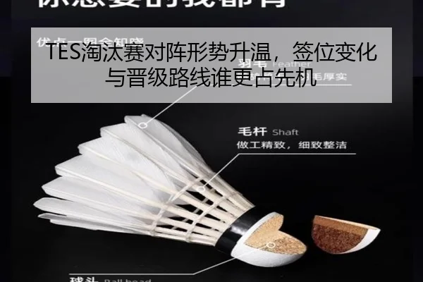 TES淘汰赛对阵形势升温，签位变化与晋级路线谁更占先机